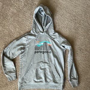 Patagonia hoodie